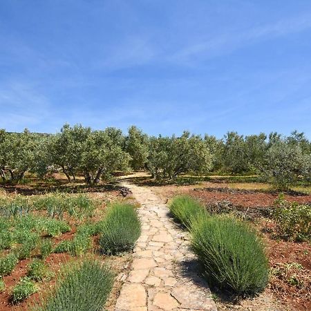 Villa House Oliva Tkon Exterior foto