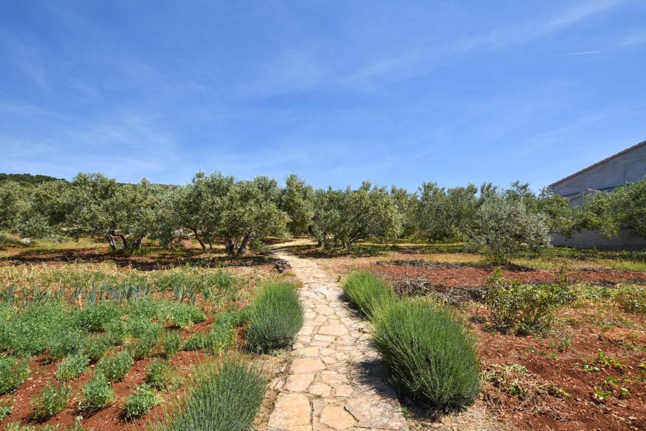 Villa House Oliva Tkon Exterior foto